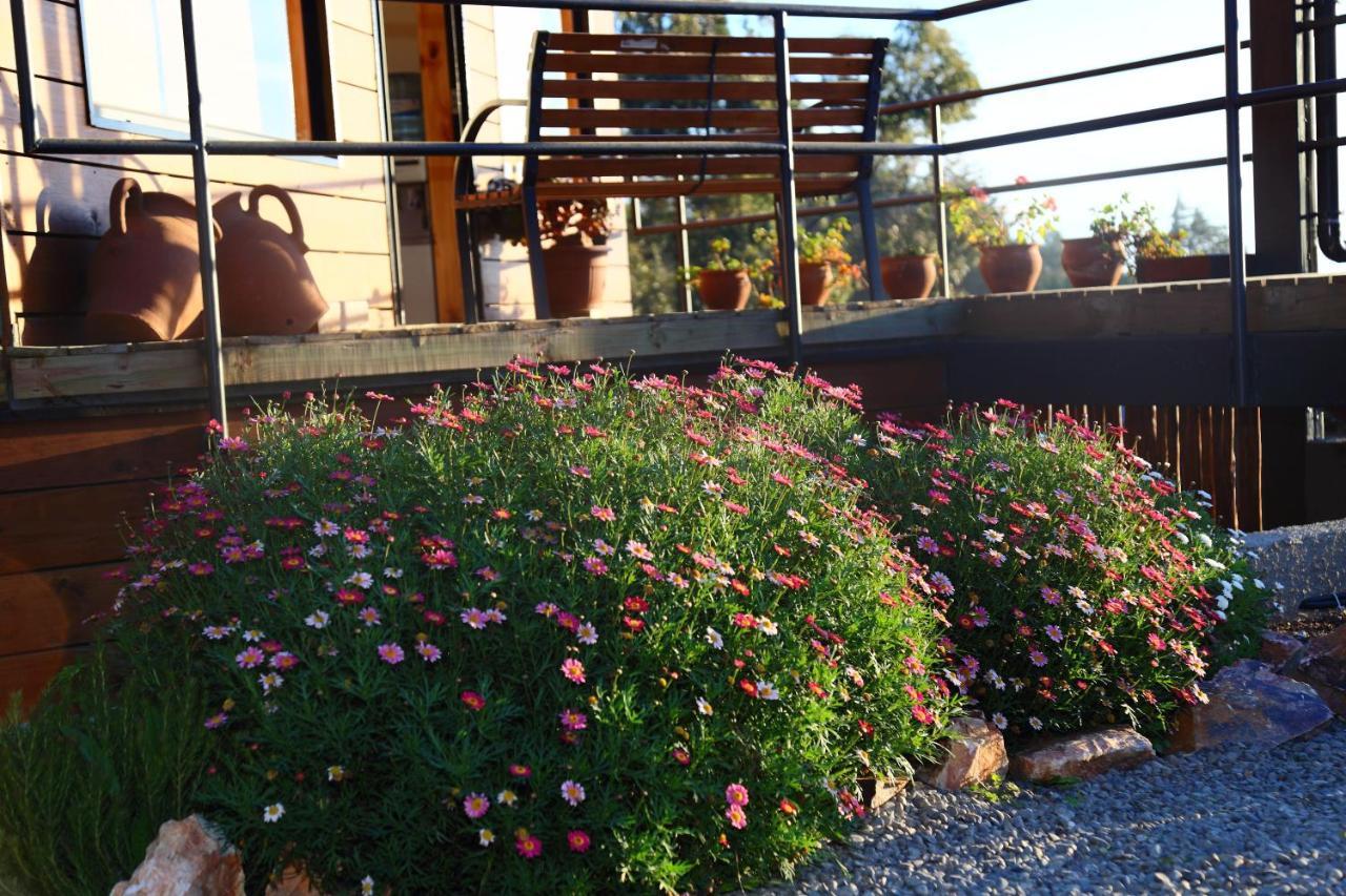 Cabanas Y Spa Costa Patagonia - Piscina Climatizada Pichilemu Esterno foto